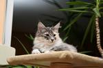 img_7413_small