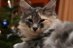img_7419_small