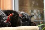 img_7426_small