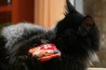 img_7429_small