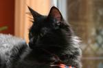 img_7433_small