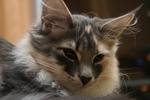 img_7456_small