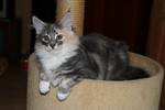 img_7280_small