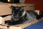 img_7293_small