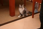 img_7389_small