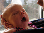 Luise_small
