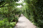 Sylt-136_small