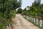 Sylt-142_small