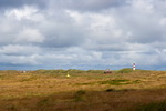 Sylt-167_small