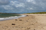 Sylt-172_small