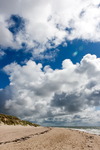 Sylt-176_small