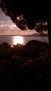 Aussicht