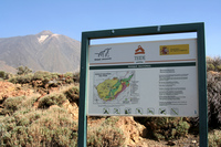 Teide10
